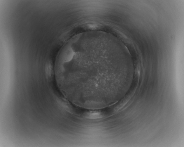 X0000112430651200908141432