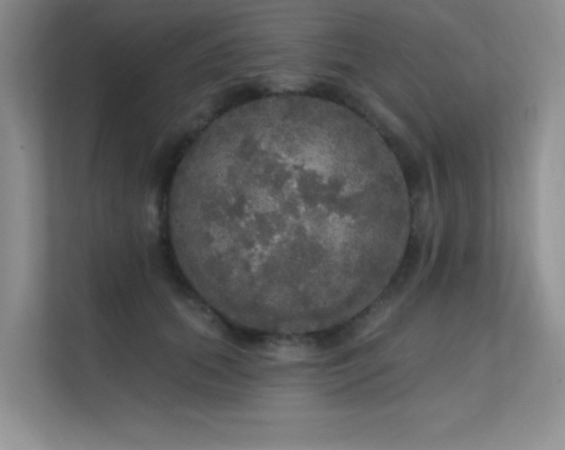 X0000112430655200908141432