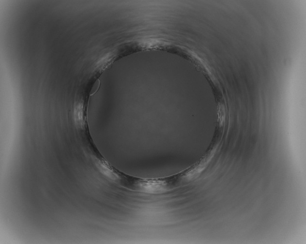 X0000112430670200908141432