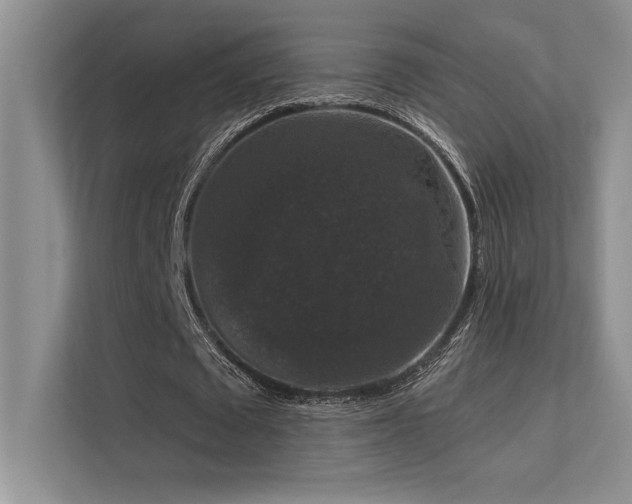 X0000112430673200908141431