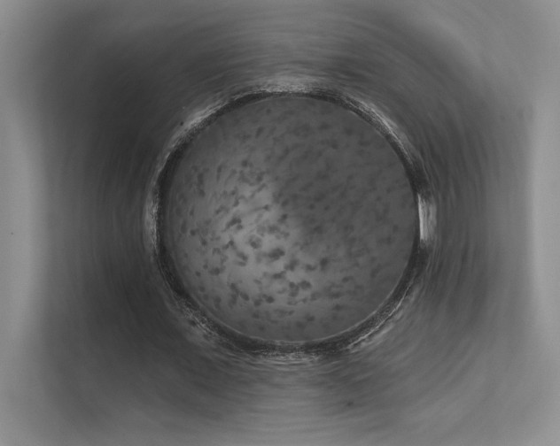 X0000112430675200908141431