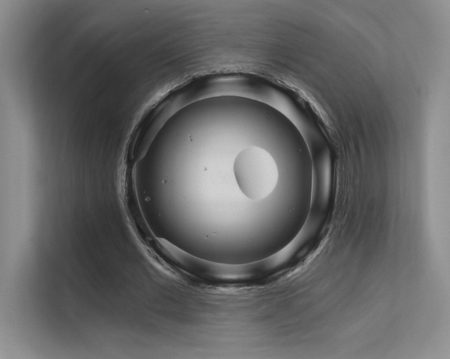 X0000112430677200908141431