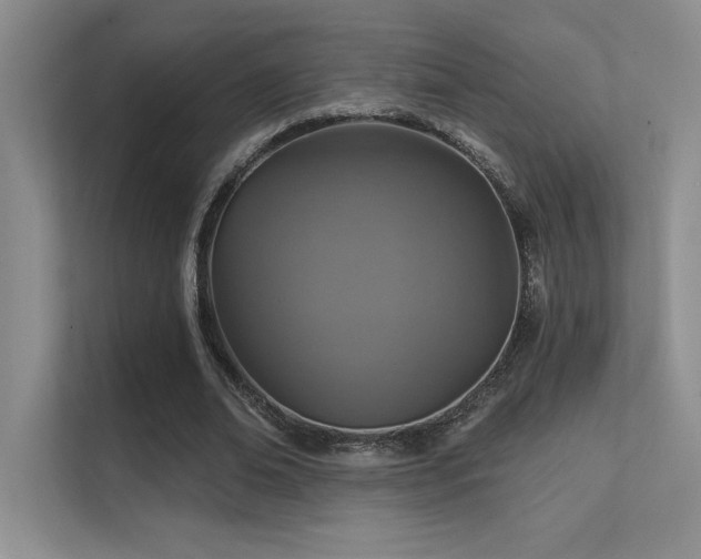 X0000112430678200908141431