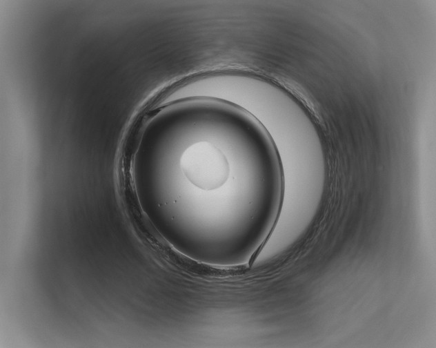 X0000112430680200908141431