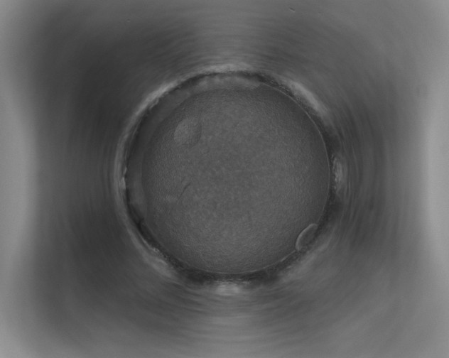 X0000112430684200908141431