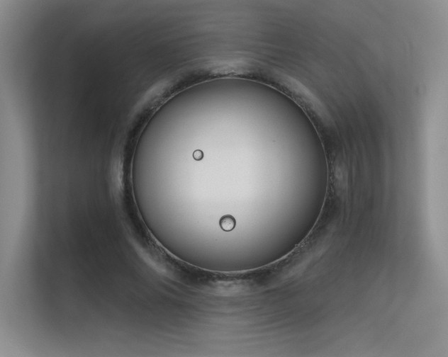 X0000112430686200908141431