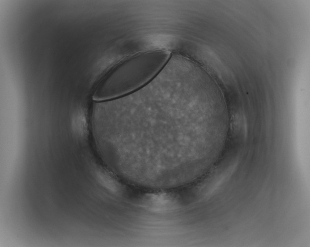X0000112430688200908141431