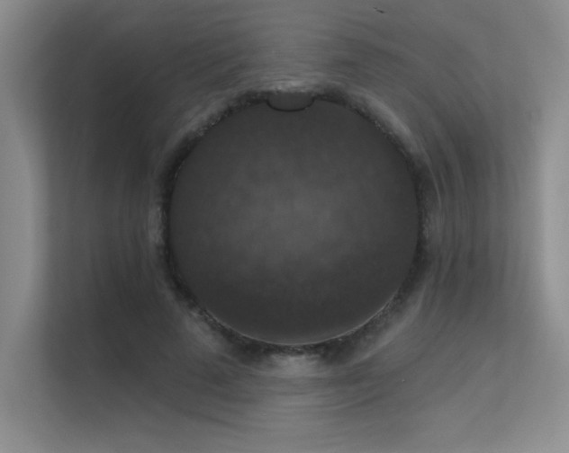 X0000112430689200908141431