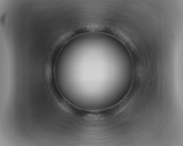 X0000112430690200908141431