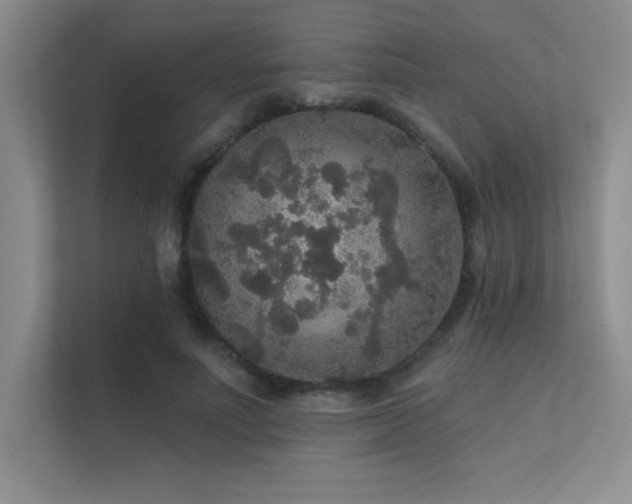 X0000112430691200908141431