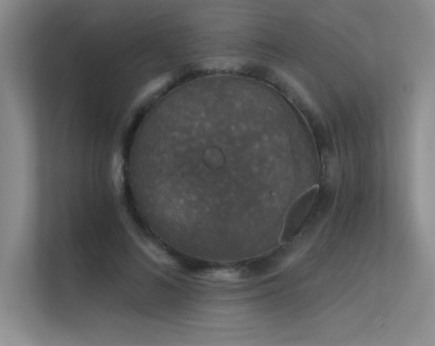 X0000112430692200908141431