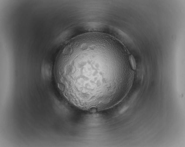 X0000112430695200908141431