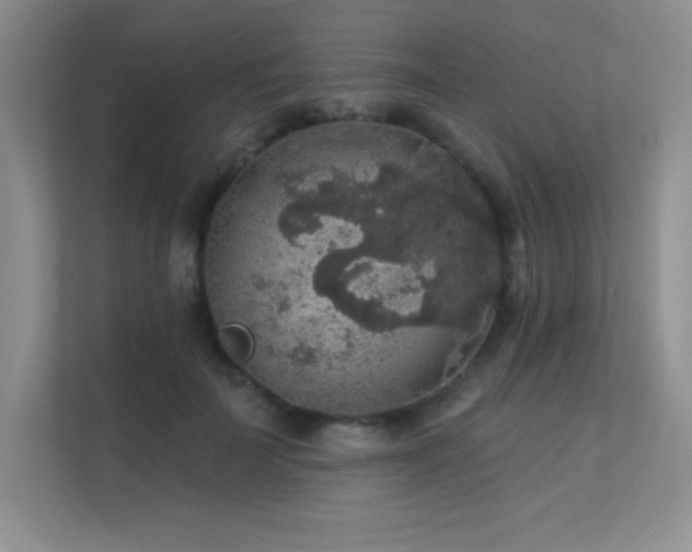 X0000112430699200908141431