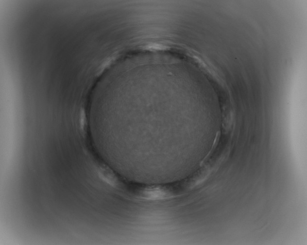 X0000112430704200908141431