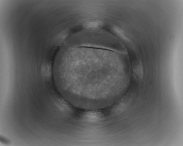 X0000112430708200908141431
