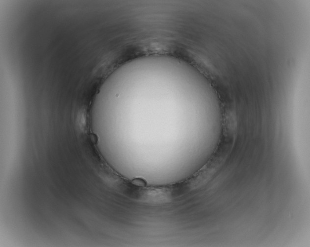 X0000112430709200908141431