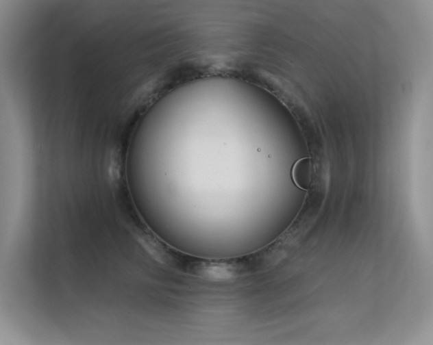 X0000112430710200908141431