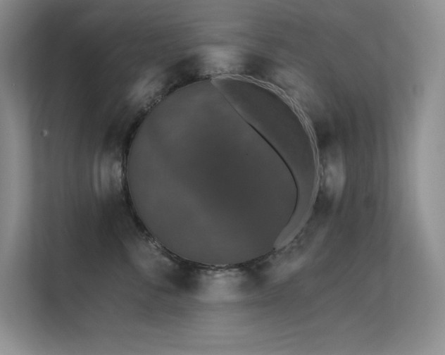 X0000112430716200908141431