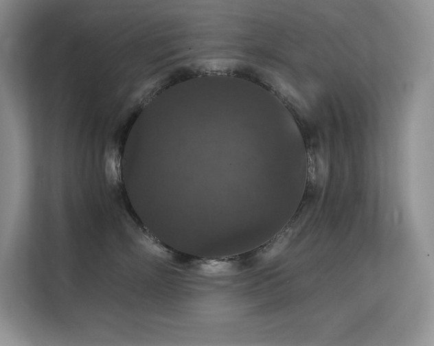 X0000112430718200908141431