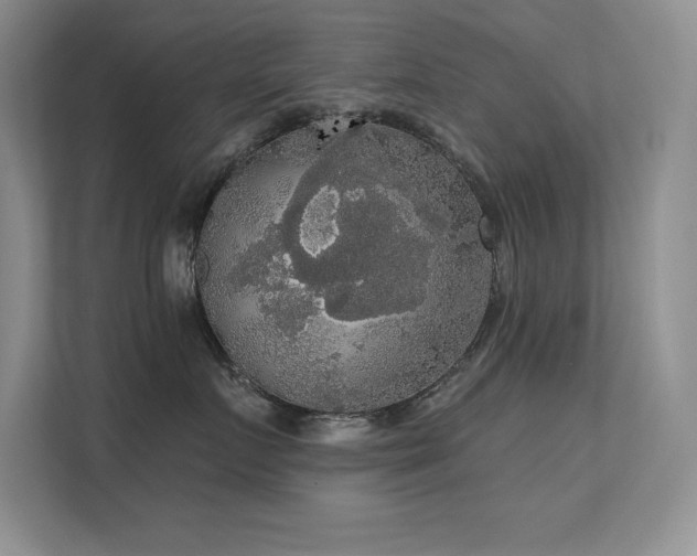 X0000112430719200908141431