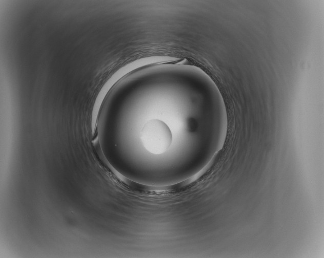 X0000112430720200908141431