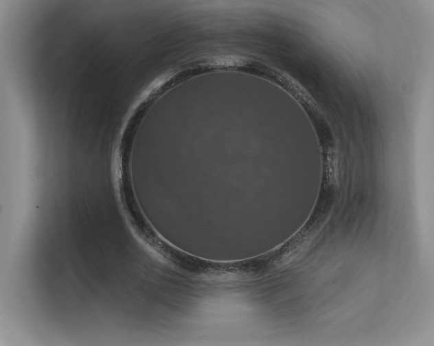 X0000112430726200908141430