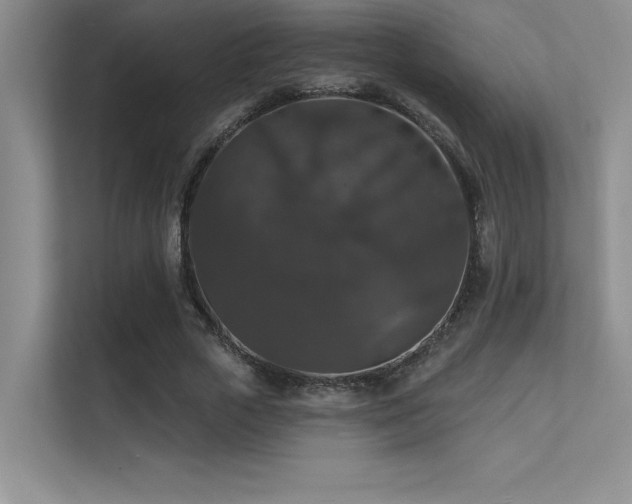 X0000112430729200908141430