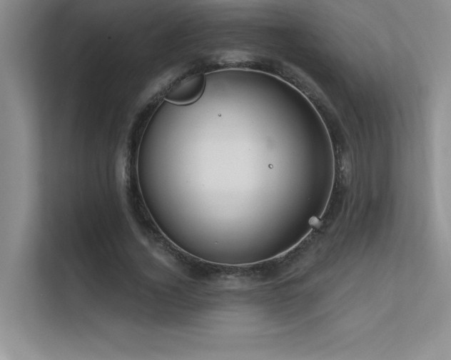 X0000112430732200908141430