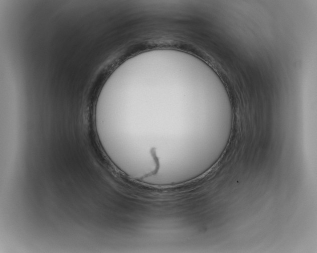 X0000112430735200908141430