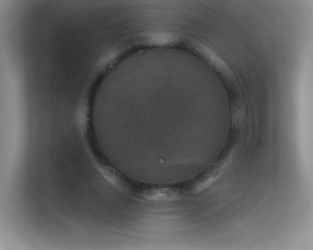 X0000112430736200908141430