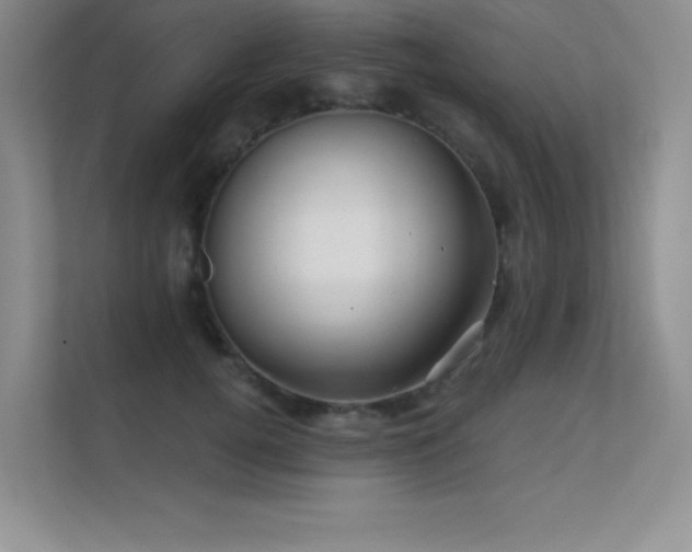 X0000112430752200908141431