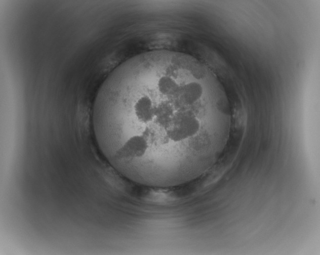X0000112430753200908141431