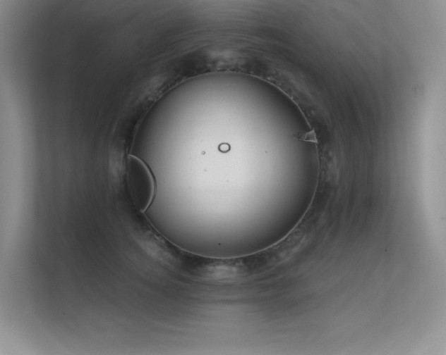 X0000112430756200908141431
