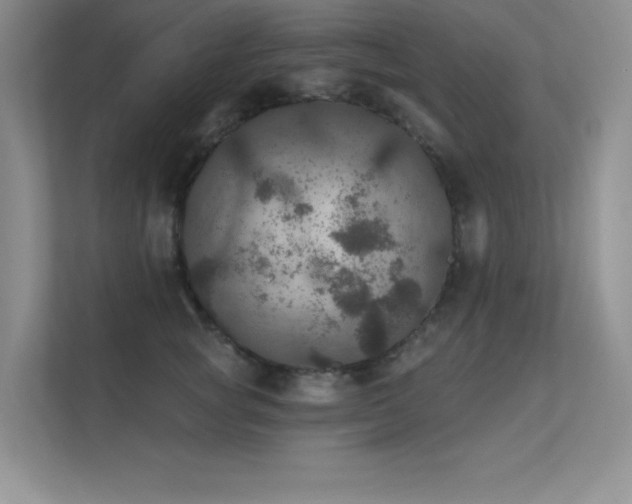 X0000112430757200908141431