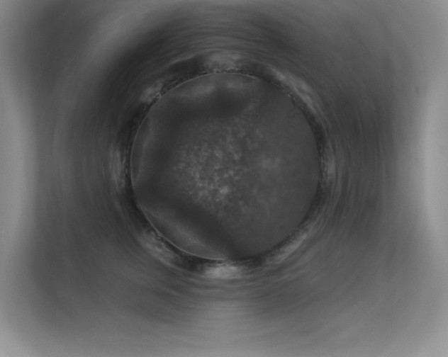 X0000112430759200908141431
