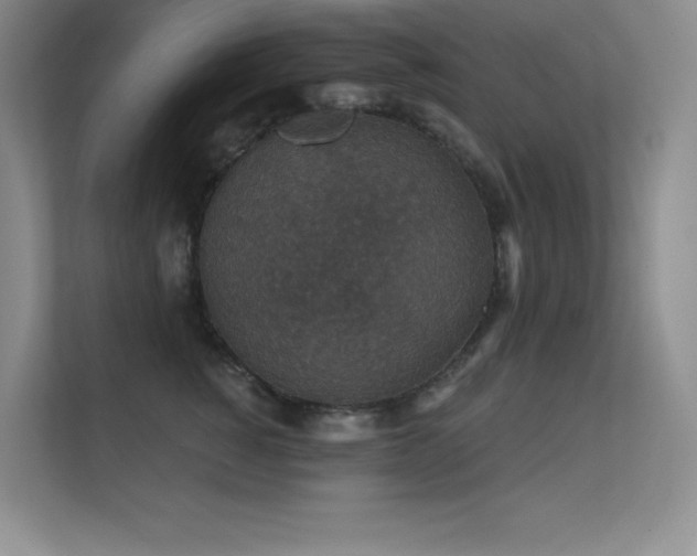 X0000112430760200908141431