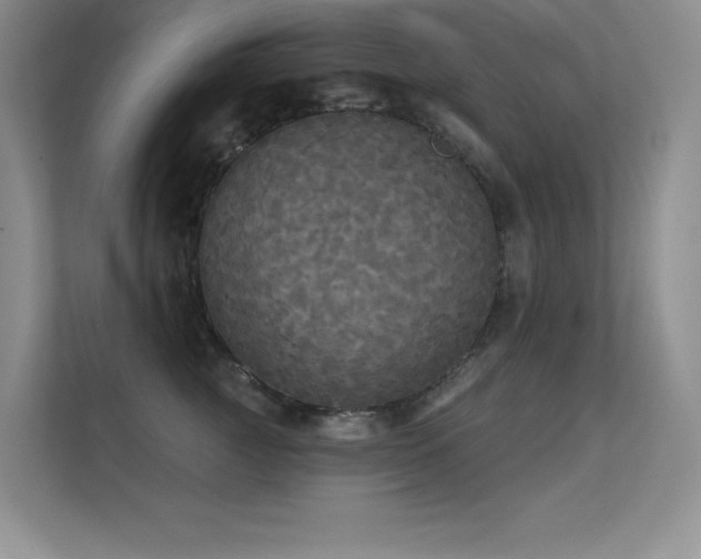 X0000112430761200908141431
