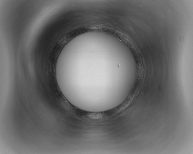 X0000112430762200908141431