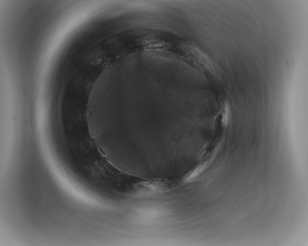 X0000112430763200908141431