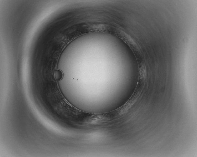 X0000112430764200908141431