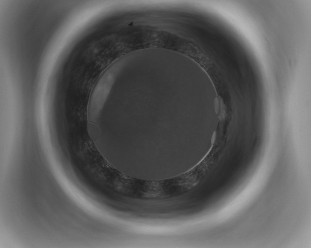 X0000112430766200908141431