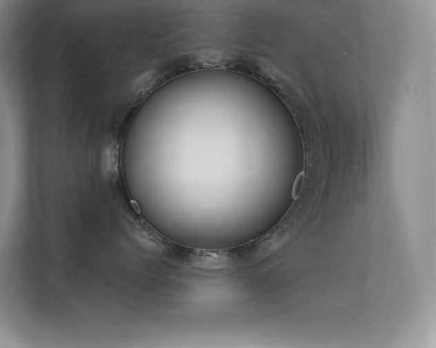 X0000112430768200908141431