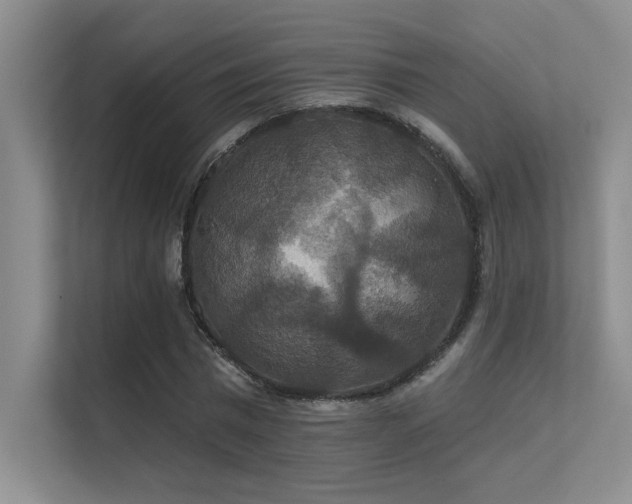 X0000112430777200908141430