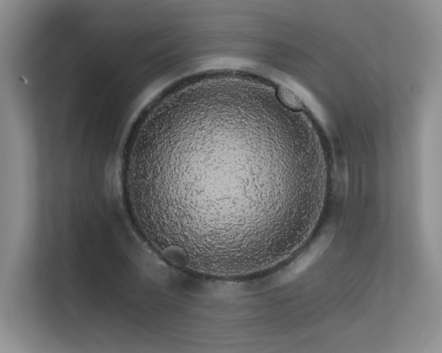 X0000112430783200908141430