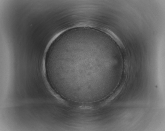 X0000112430788200908141430