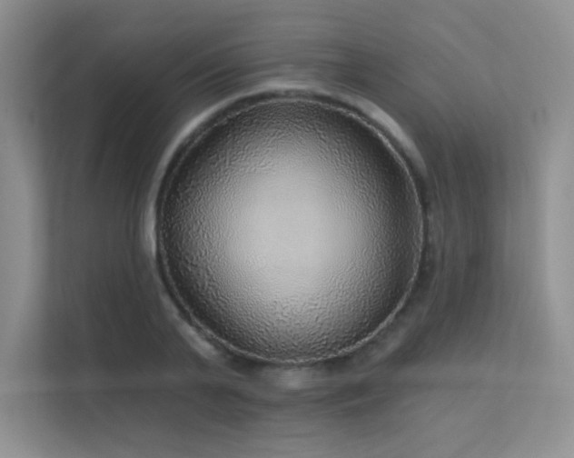 X0000112430791200908141430