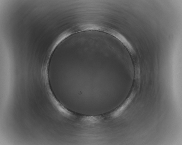 X0000112430806200908141430