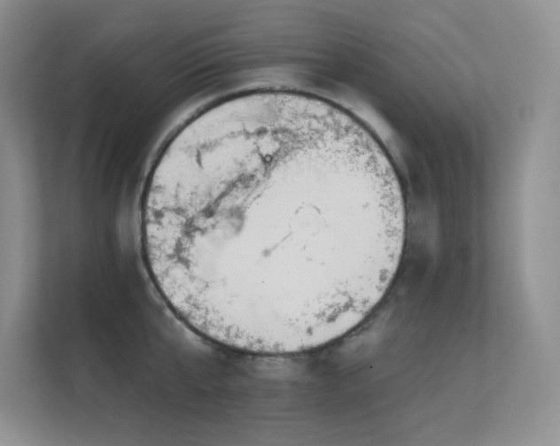 X0000112430807200908141430