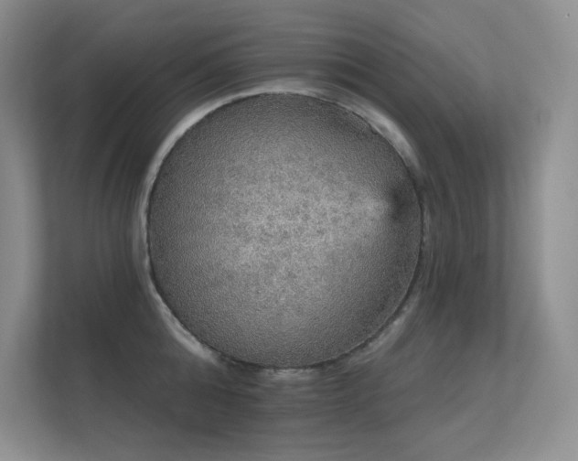 X0000112430808200908141430