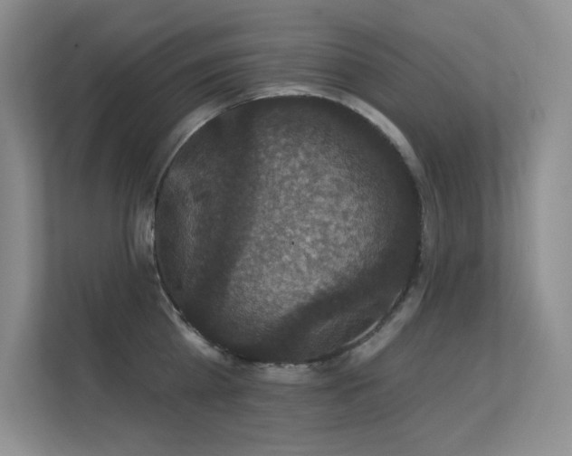 X0000112430809200908141430